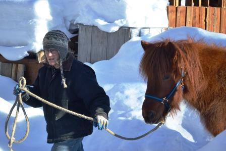 Alys and Tyra head to the agility course